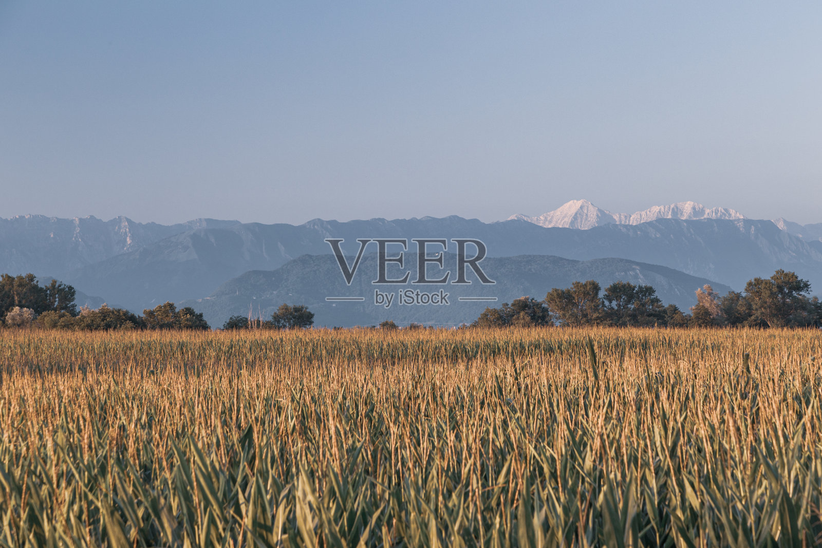 五彩缤纷的日落在弗留里威尼斯-朱利亚的田野照片摄影图片