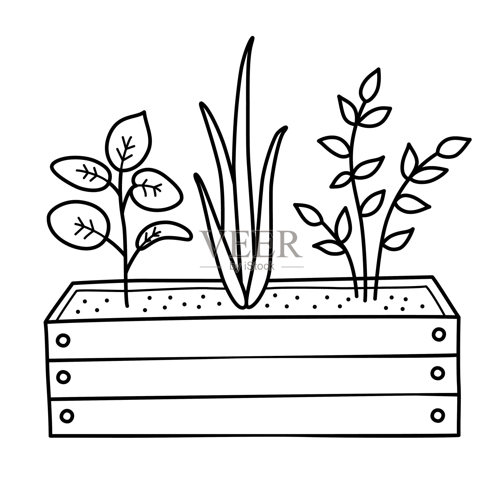 植物在木盒，涂鸦图标的幼苗，庭院和花园装饰，矢量插图的园艺盒与植物插画图片素材