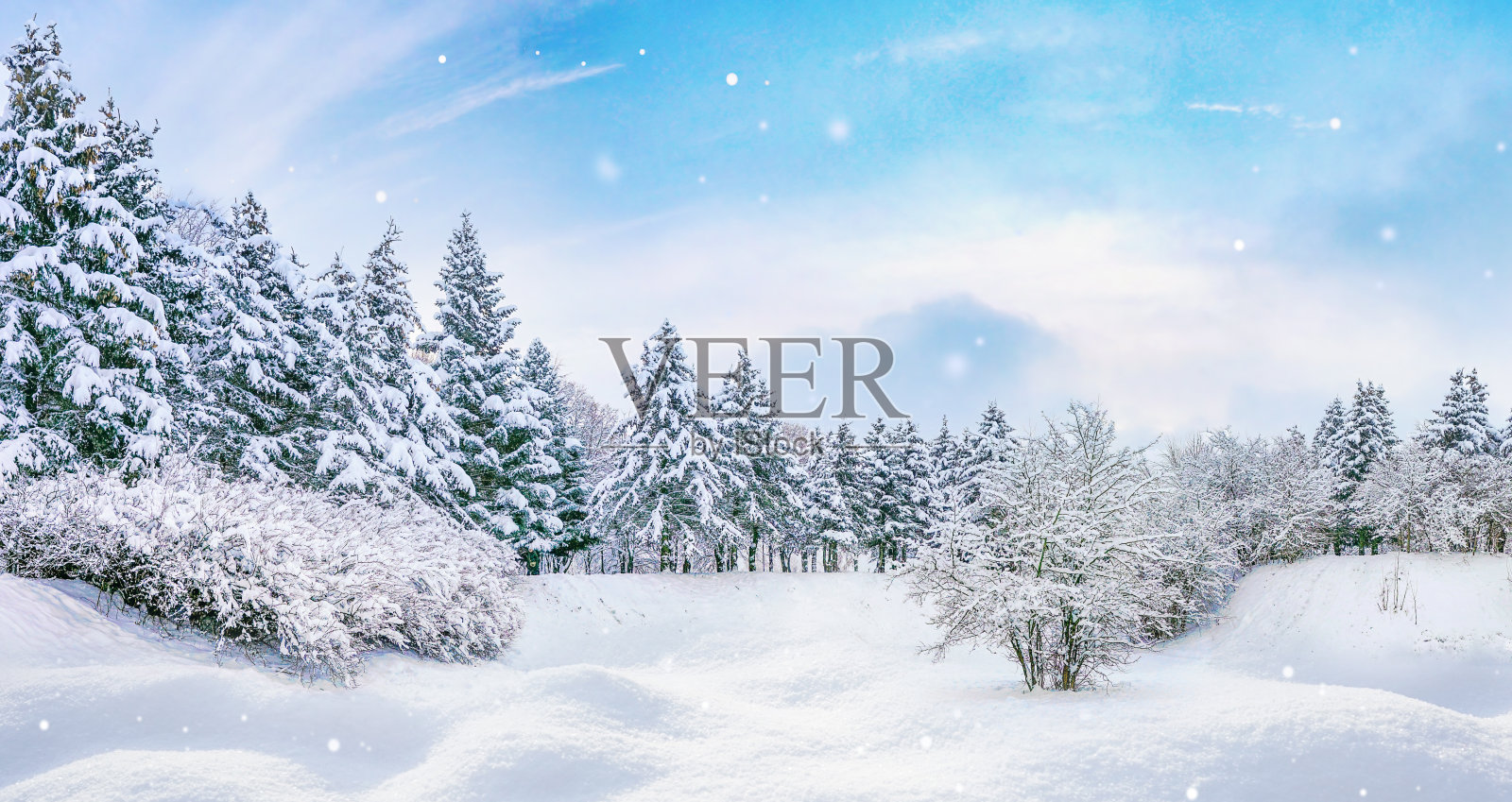 冰冻的大自然映衬着美丽的冬日森林全景，映衬着蓝天。照片摄影图片