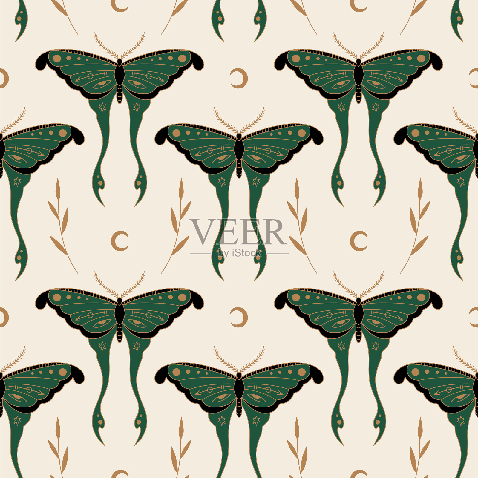 魔月蛾天月夜蝶插画图片素材