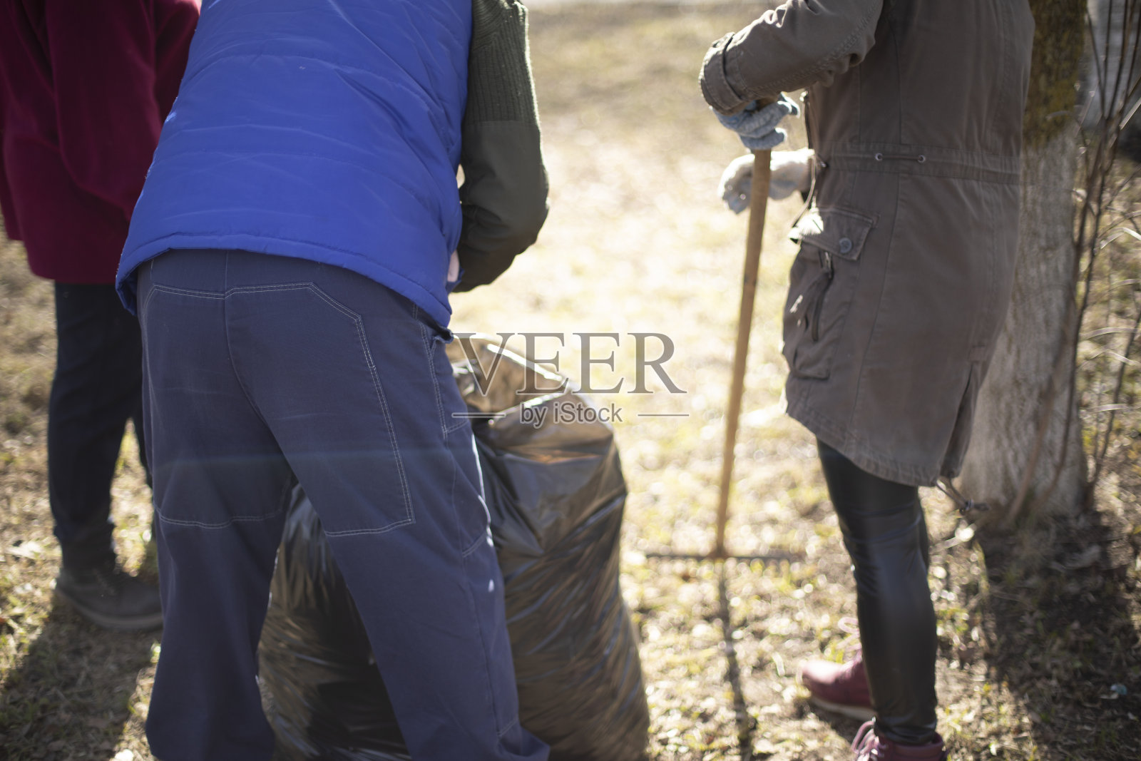 垃圾收集袋。人们清理院子。照片摄影图片