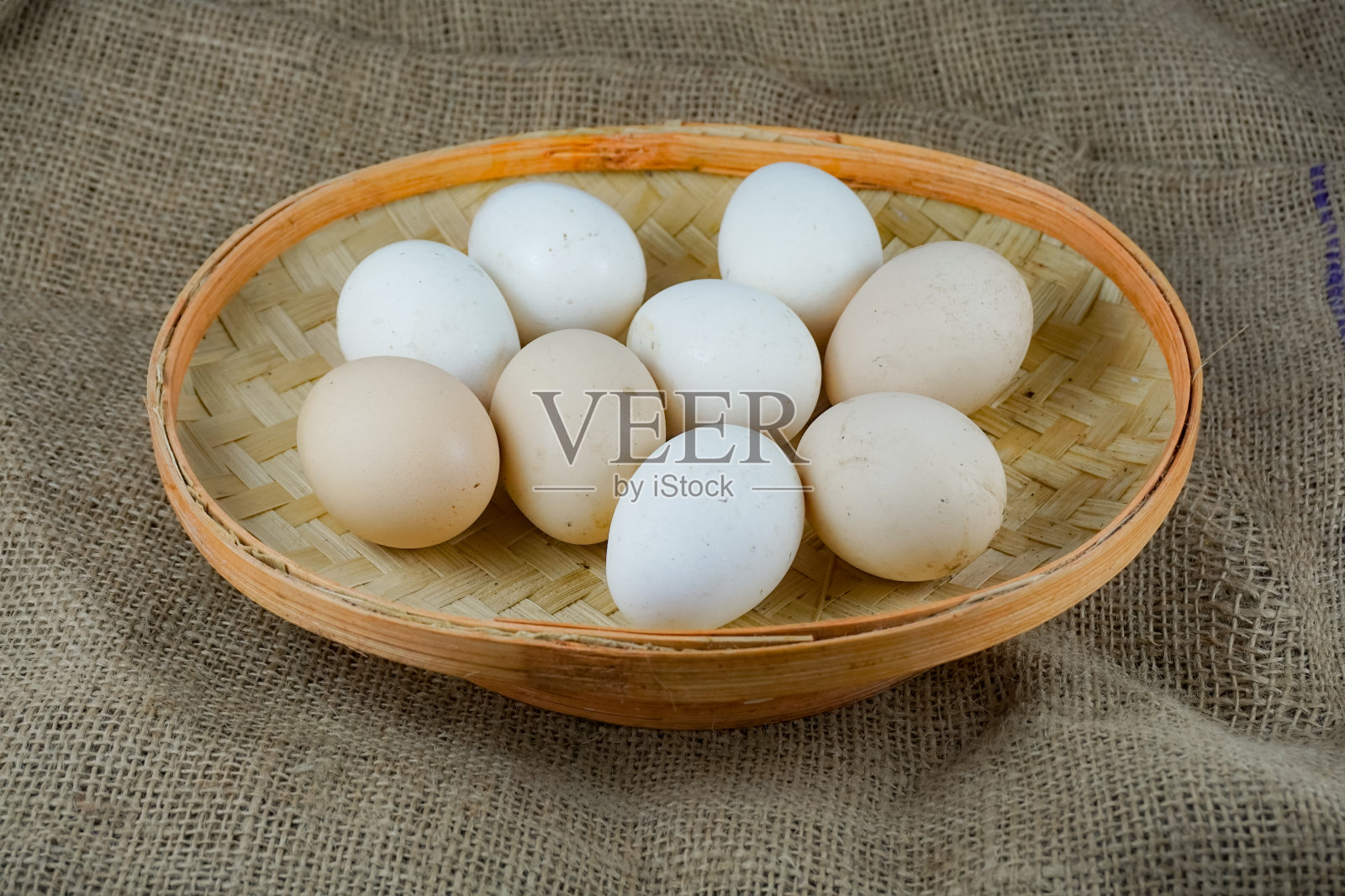 宠物鸡蛋照片摄影图片