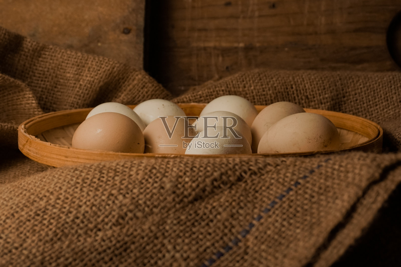 宠物鸡蛋照片摄影图片