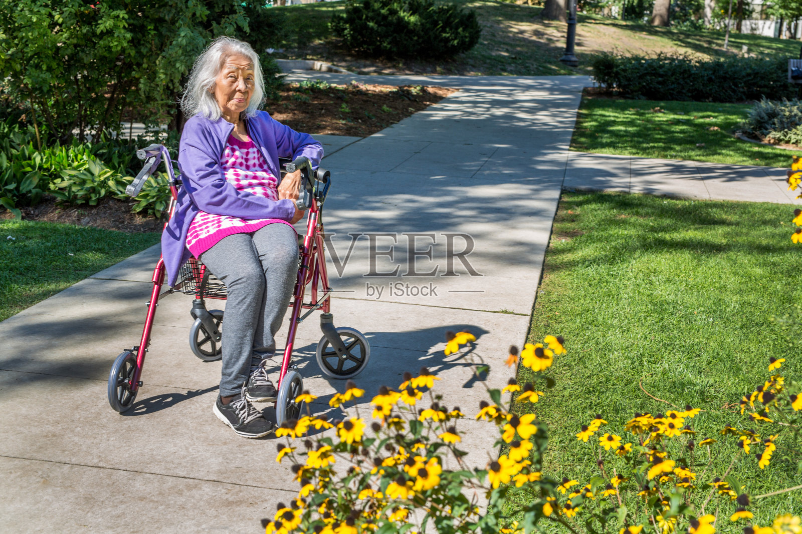公园里的老年妇女照片摄影图片