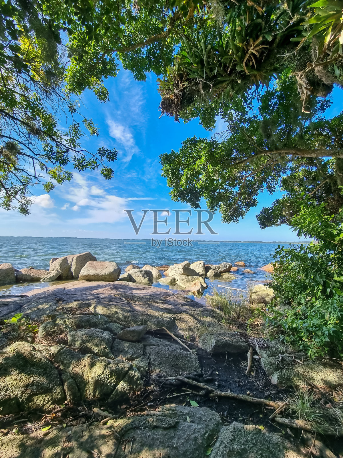 湖景以岩石、树木和蓝天为背景照片摄影图片