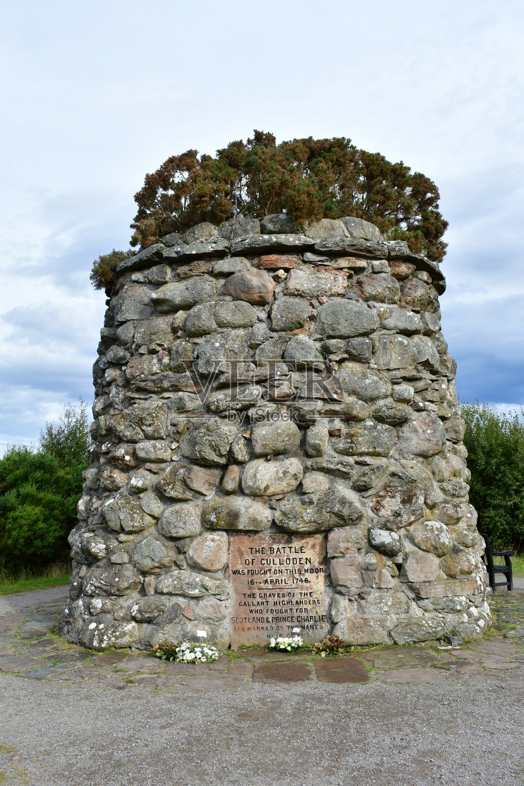卡洛照片摄影图片