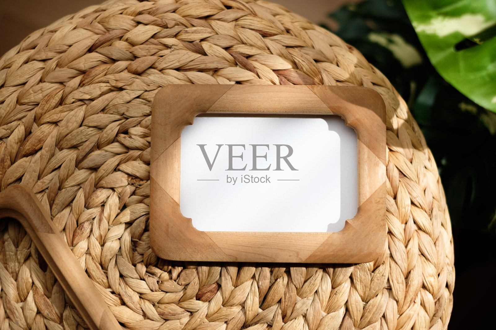 实物木相框在柳条上与阳光怪兽站在一起照片摄影图片