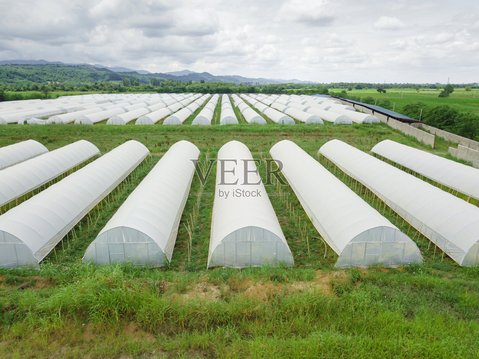 无人机拍摄的一座座温室，上面覆盖着白色薄膜，在平原上以山为背景种植蔬菜和水果。农业、生物制品。照片摄影图片