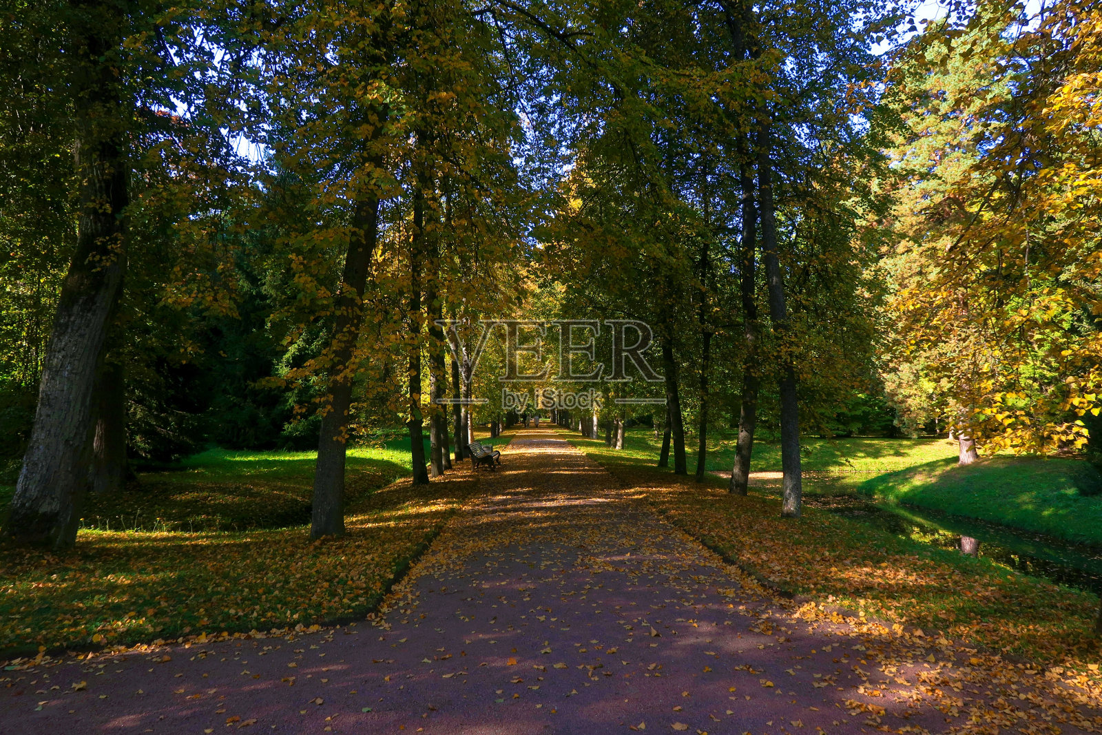 秋天的公园照片摄影图片