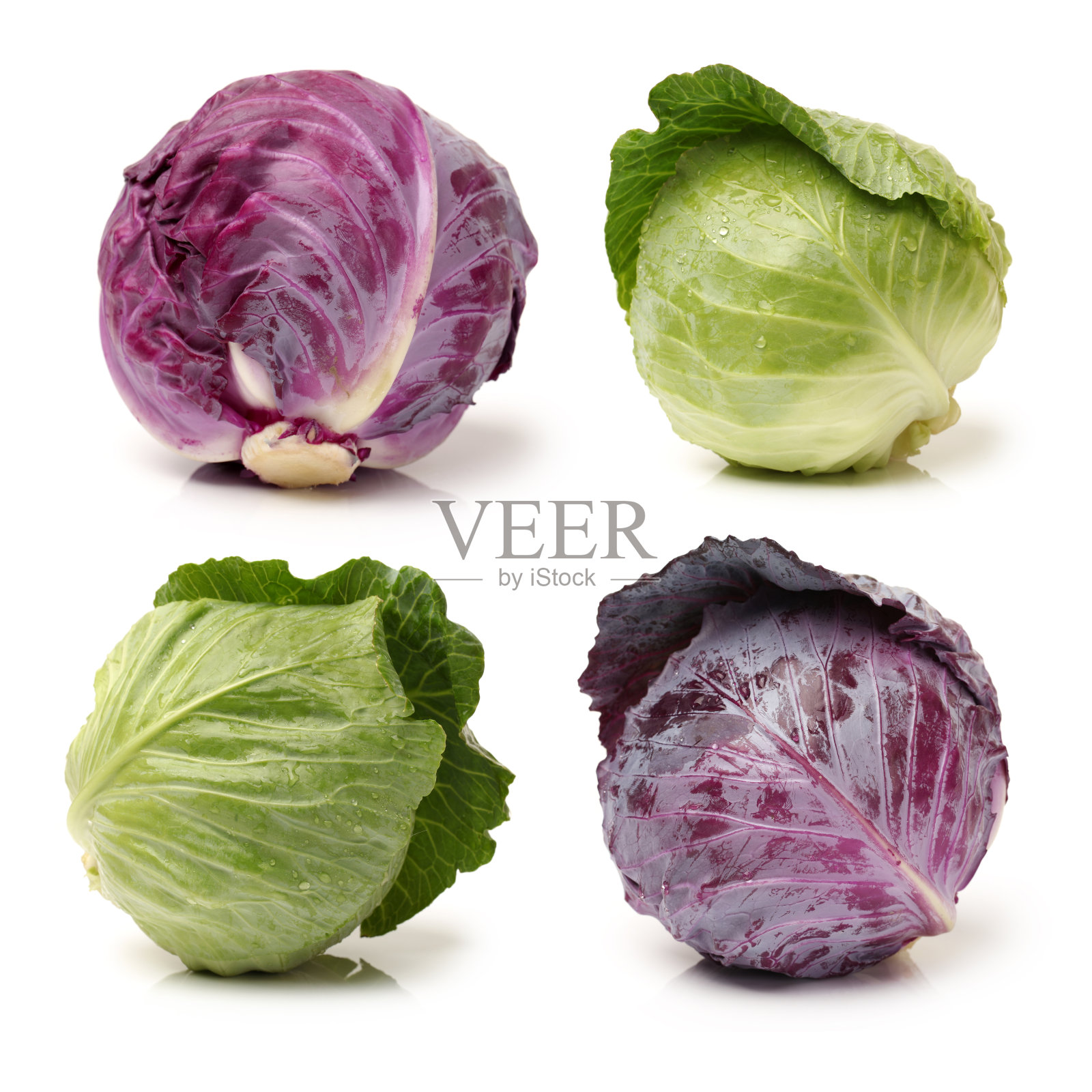 新鲜的卷心菜照片摄影图片