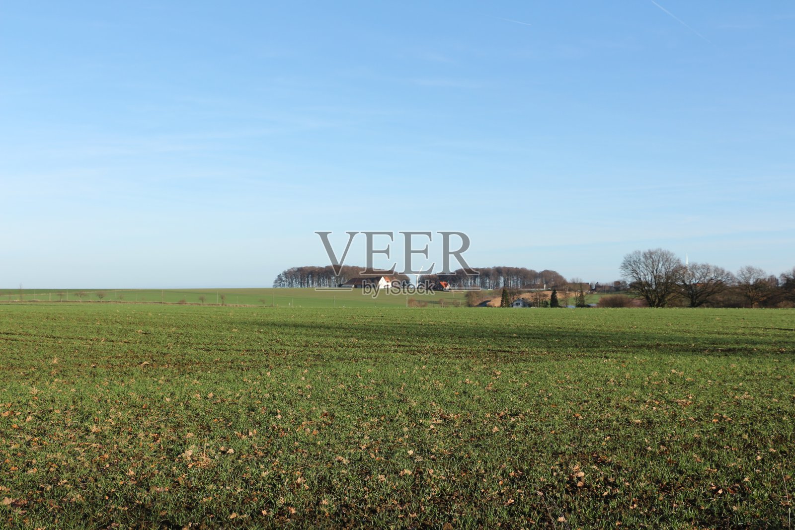 冬天的阳光照耀在Fröndenberg德鲁尔的田野上照片摄影图片