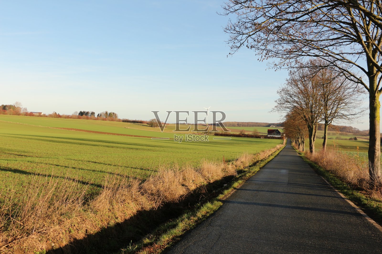 冬天的阳光照耀在Fröndenberg德鲁尔的田野上照片摄影图片