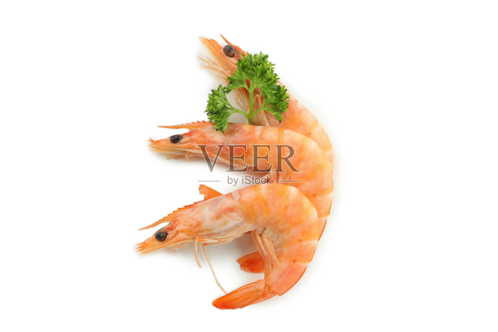 美味的煮虾孤立在白色的背景照片摄影图片