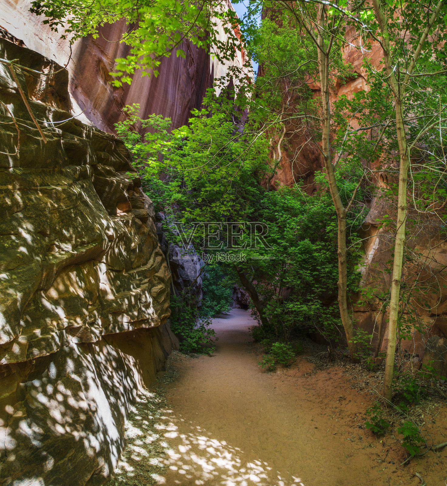 伯尔小道上的歌唱峡谷照片摄影图片