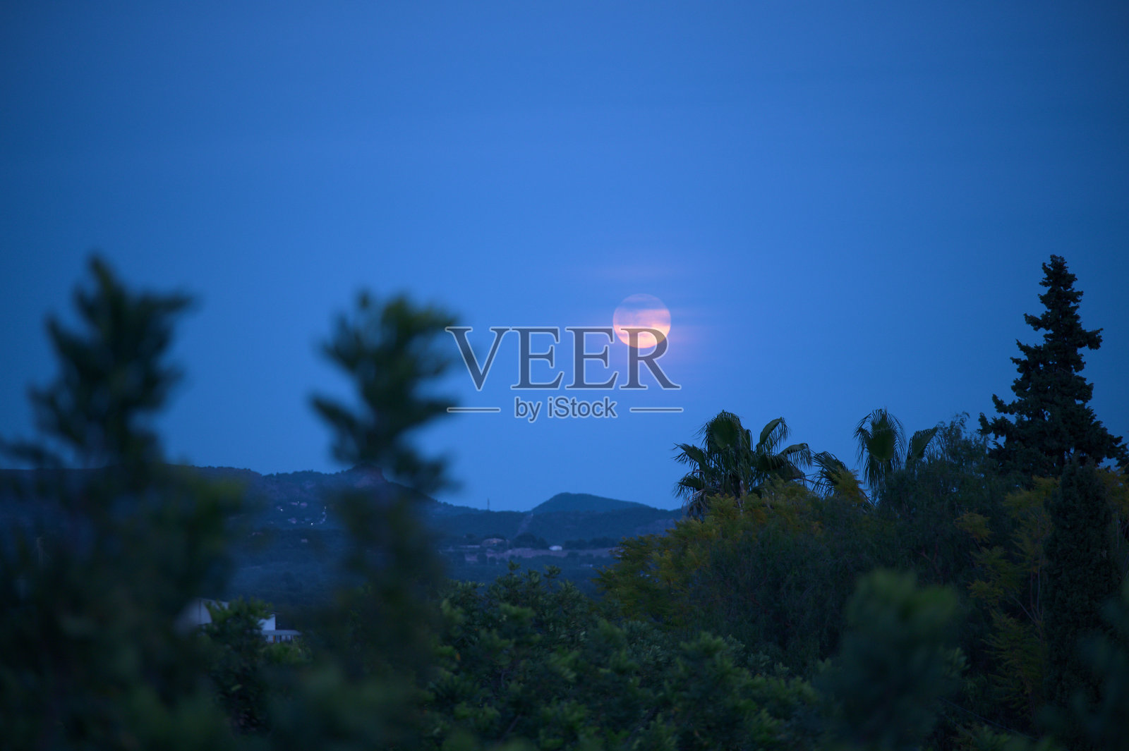 黄昏中美丽的月亮。景观格式。照片摄影图片