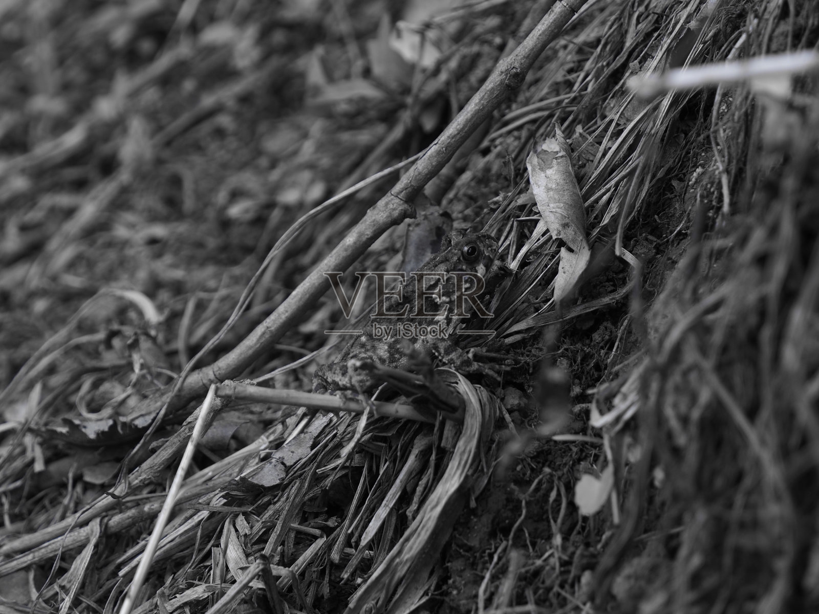 我在哪里?照片摄影图片