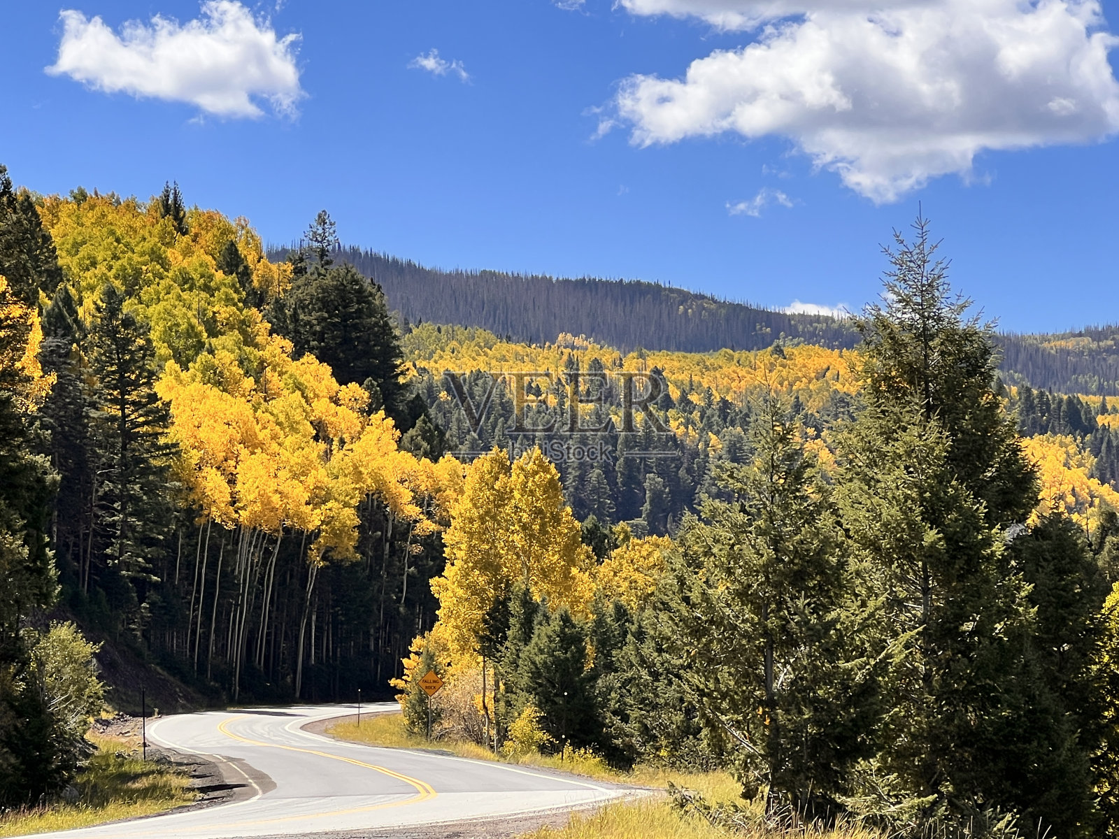 秋天/秋天的颜色，Sangre de Cristo山，科罗拉多州照片摄影图片