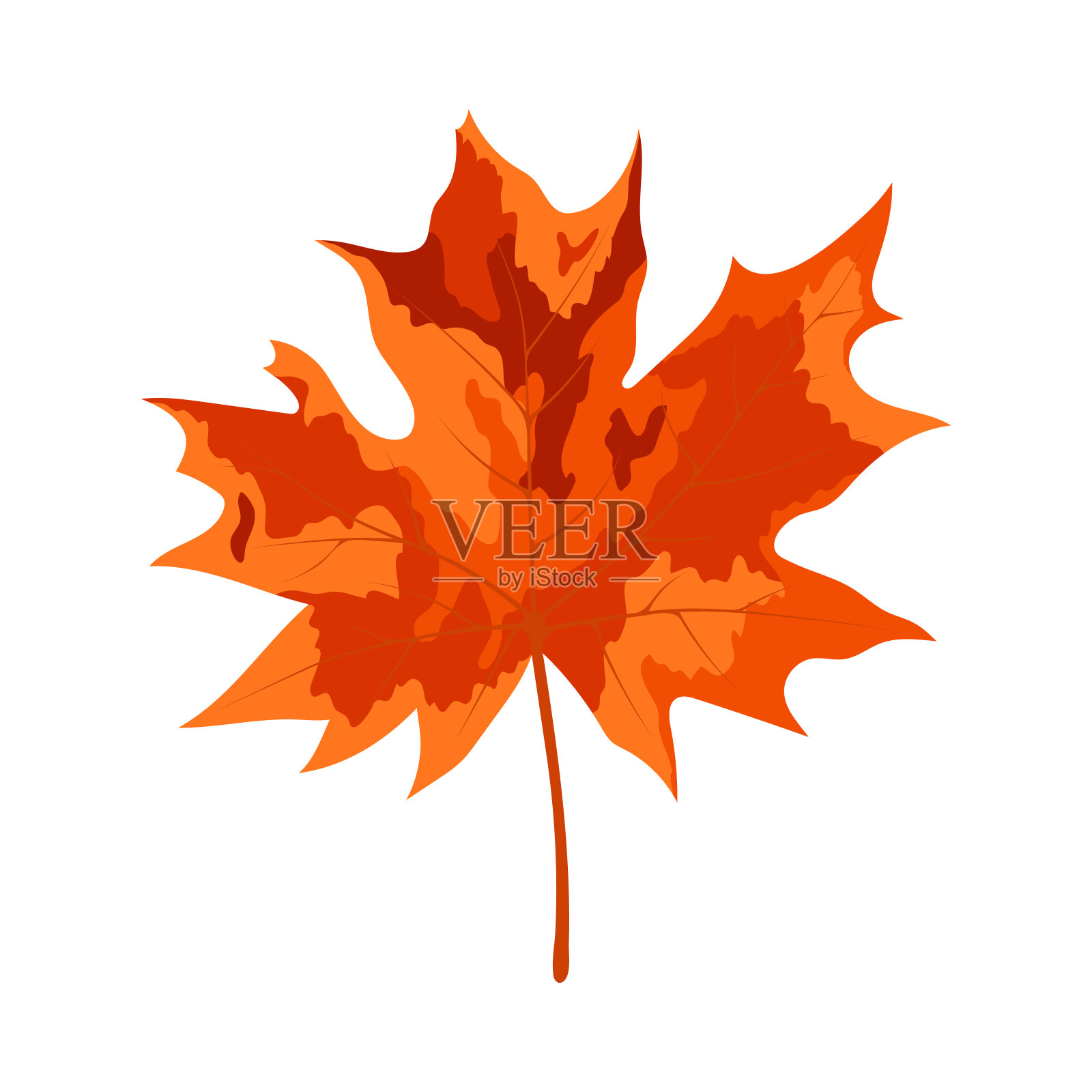 秋天的枫叶插画图片素材