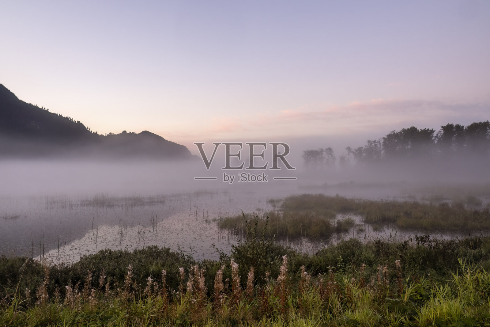 皮特-阿丁顿沼泽区和生态保护区照片摄影图片