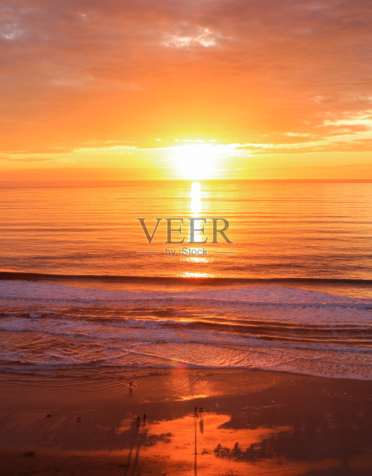 SF日光浴者3号照片摄影图片