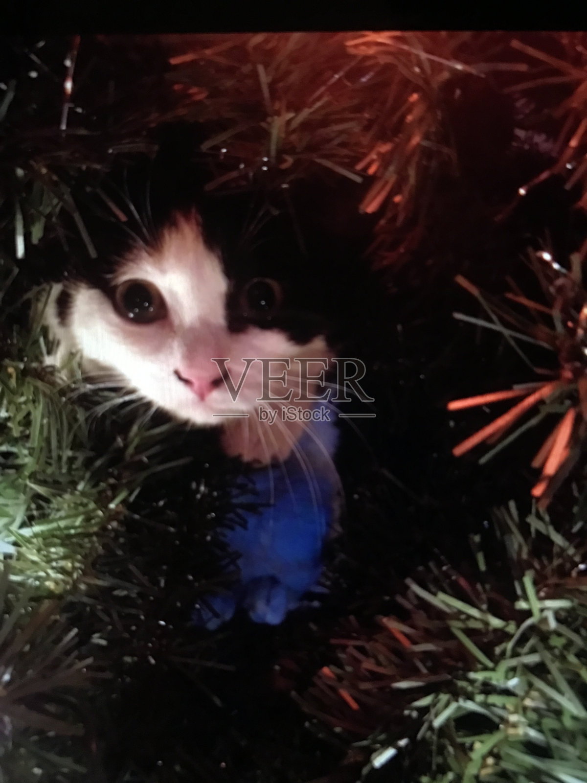 惊喜照片摄影图片