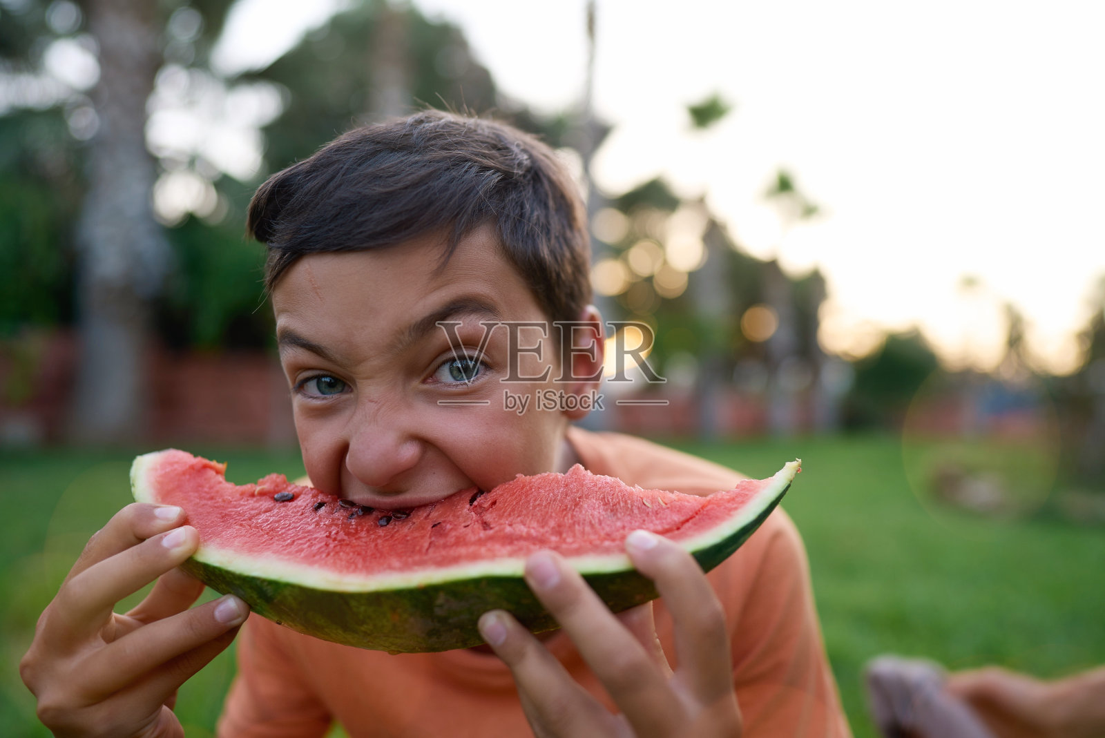 可爱的男孩夏天在户外吃西瓜。健康食用应季浆果和水果。照片摄影图片