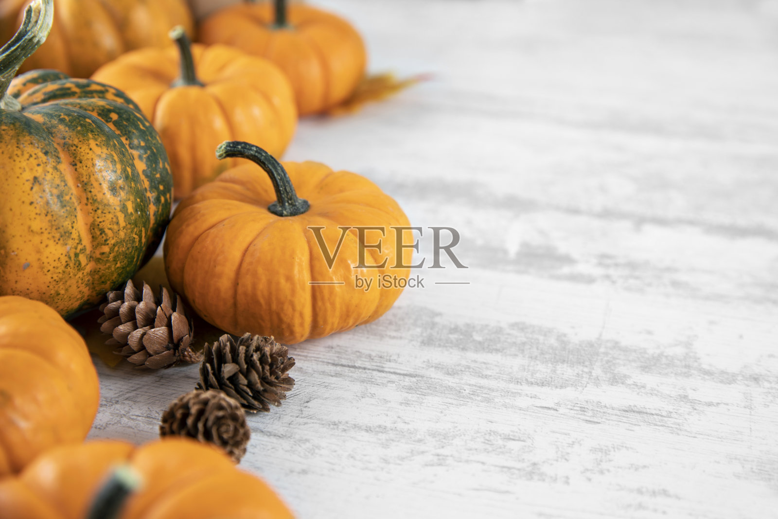 感恩节或秋葫芦节日背景照片摄影图片