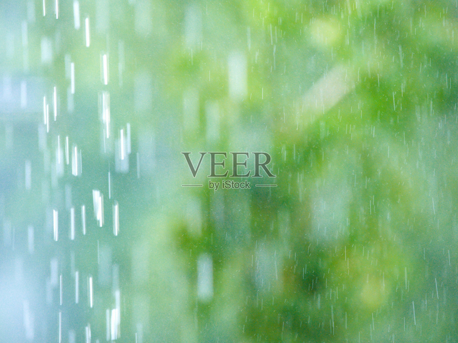 雨，公园里的大雨，森林里的雨，树林里的雨，森林里的大雨照片摄影图片