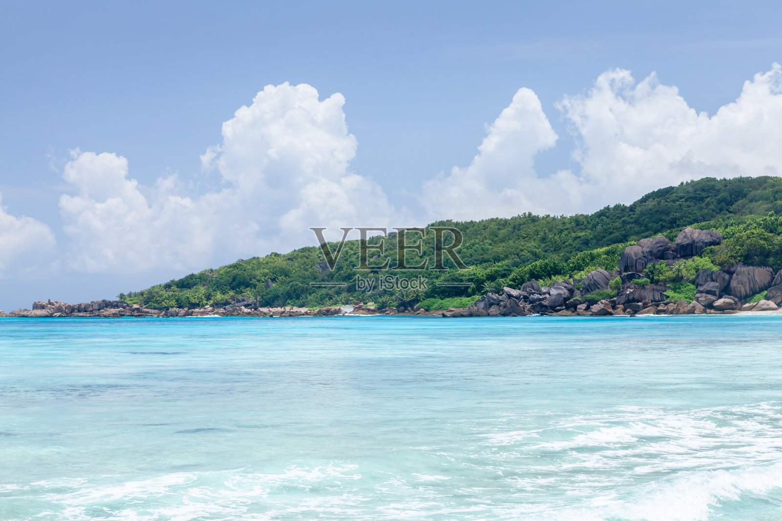 有棕榈树的热带海滩照片摄影图片