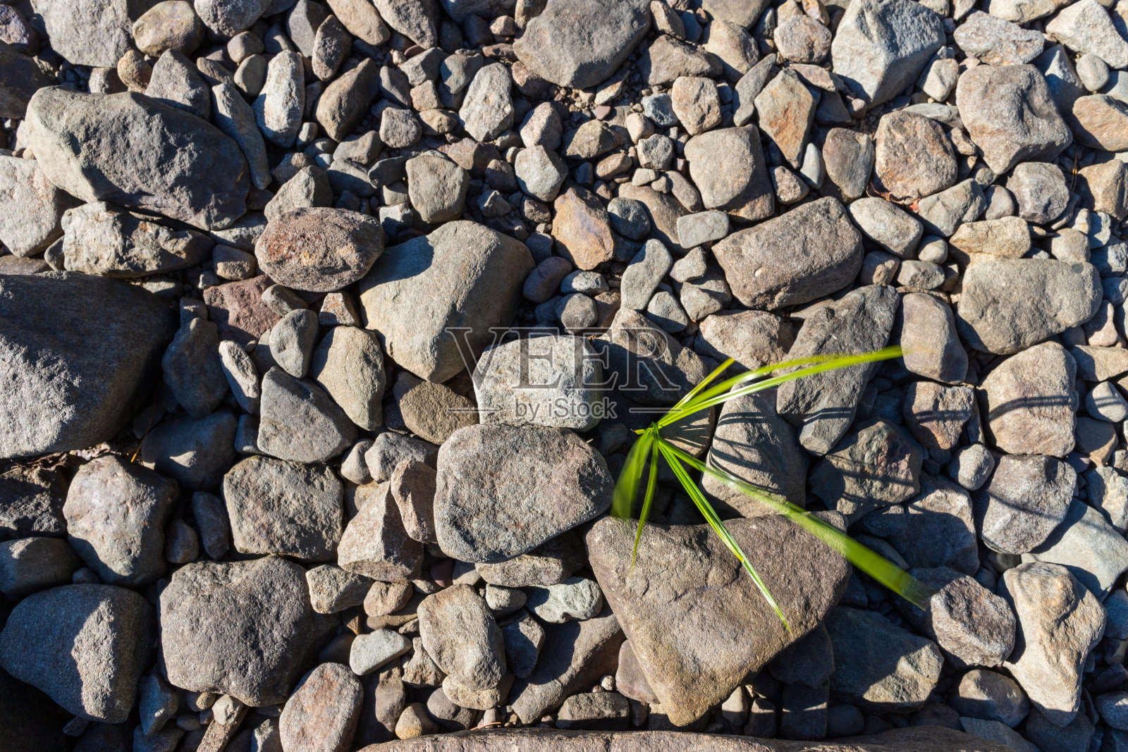 草坪石墙照片摄影图片