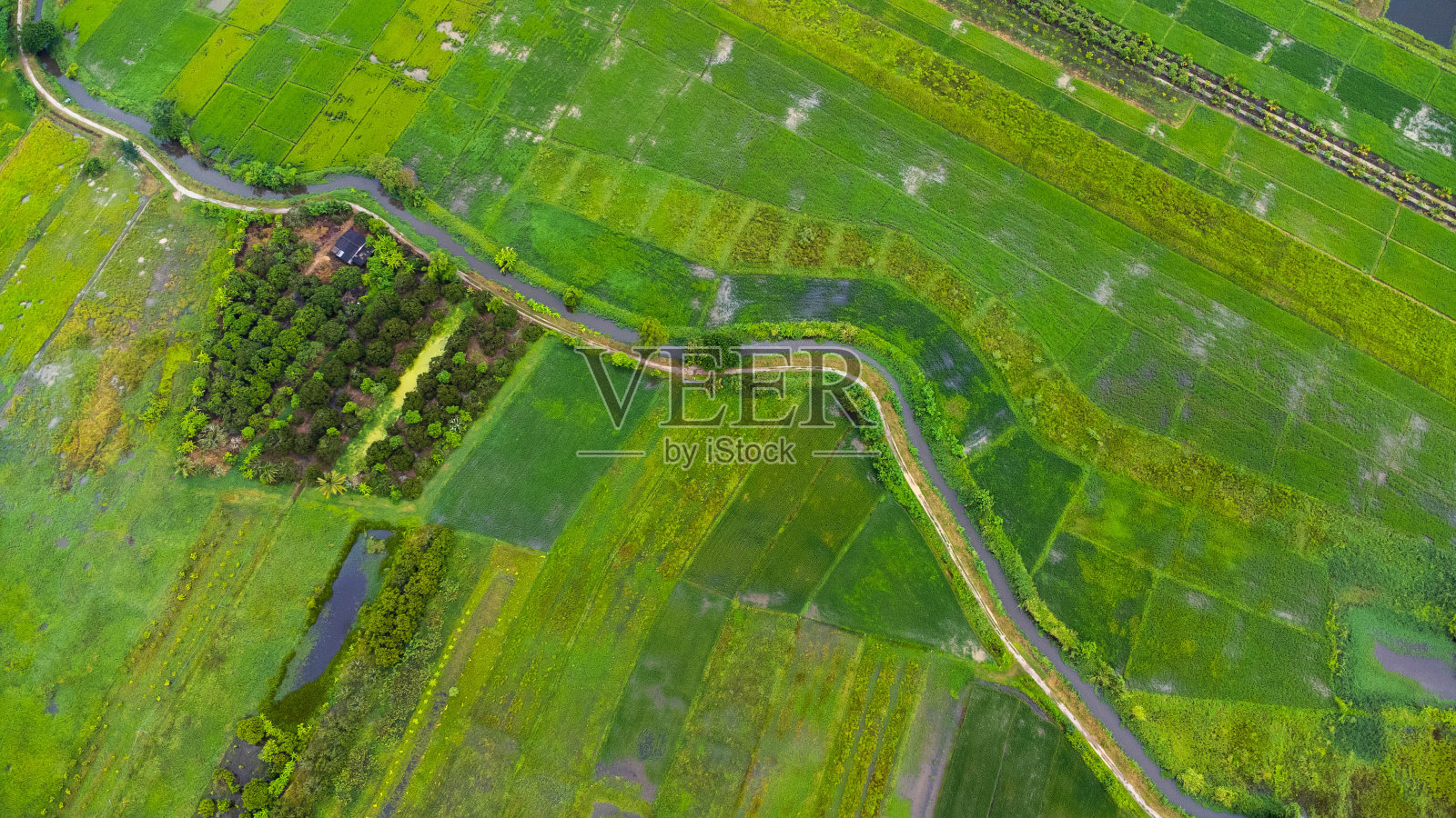 泰国北部农业区或种植园灌溉渠系统的鸟瞰图。春季嫩绿的稻田俯视图。自然景观背景。照片摄影图片