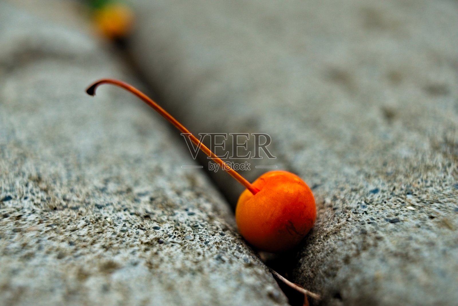 裂纹樱桃照片摄影图片