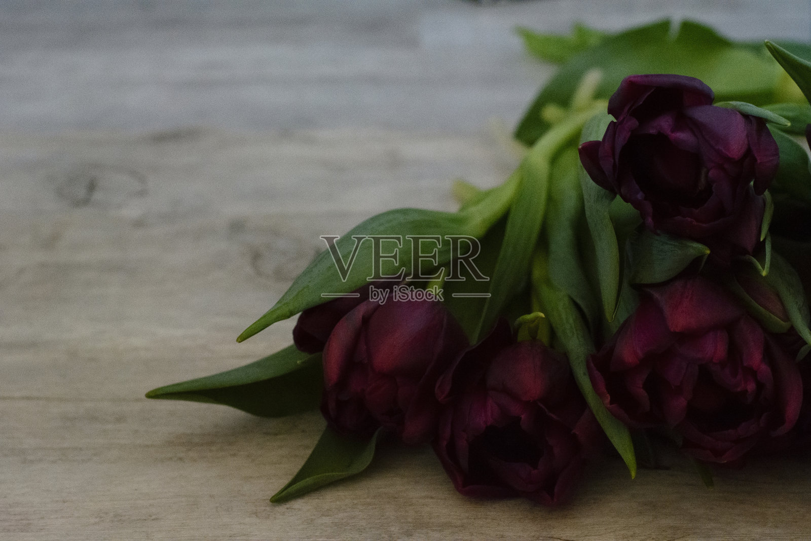 深紫色的郁金香躺在木地板上。深紫色郁金香的花束照片摄影图片