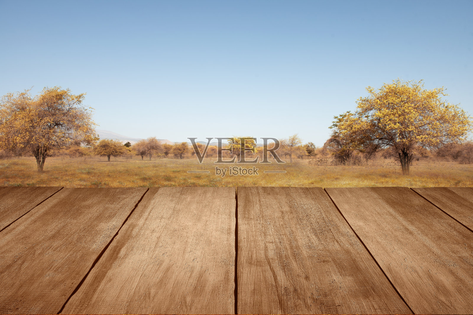 木桌，可以看到绿树成荫的草地照片摄影图片