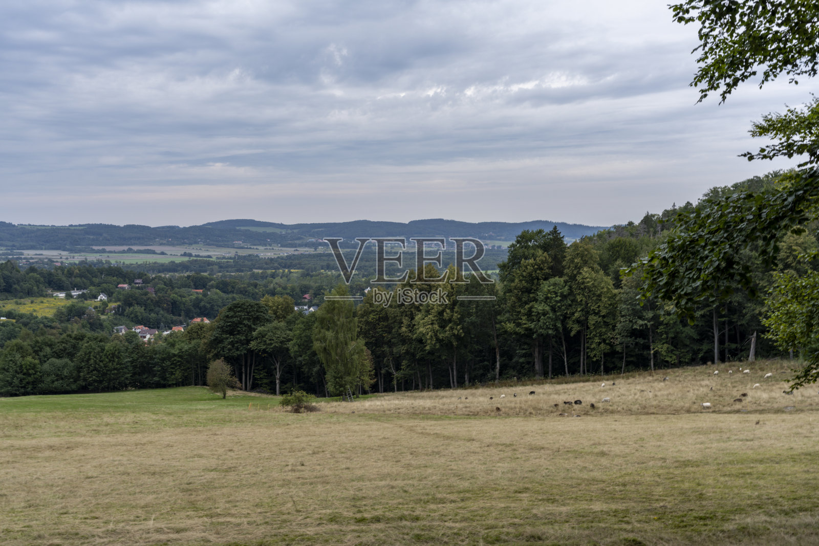 干燥草甸照片摄影图片
