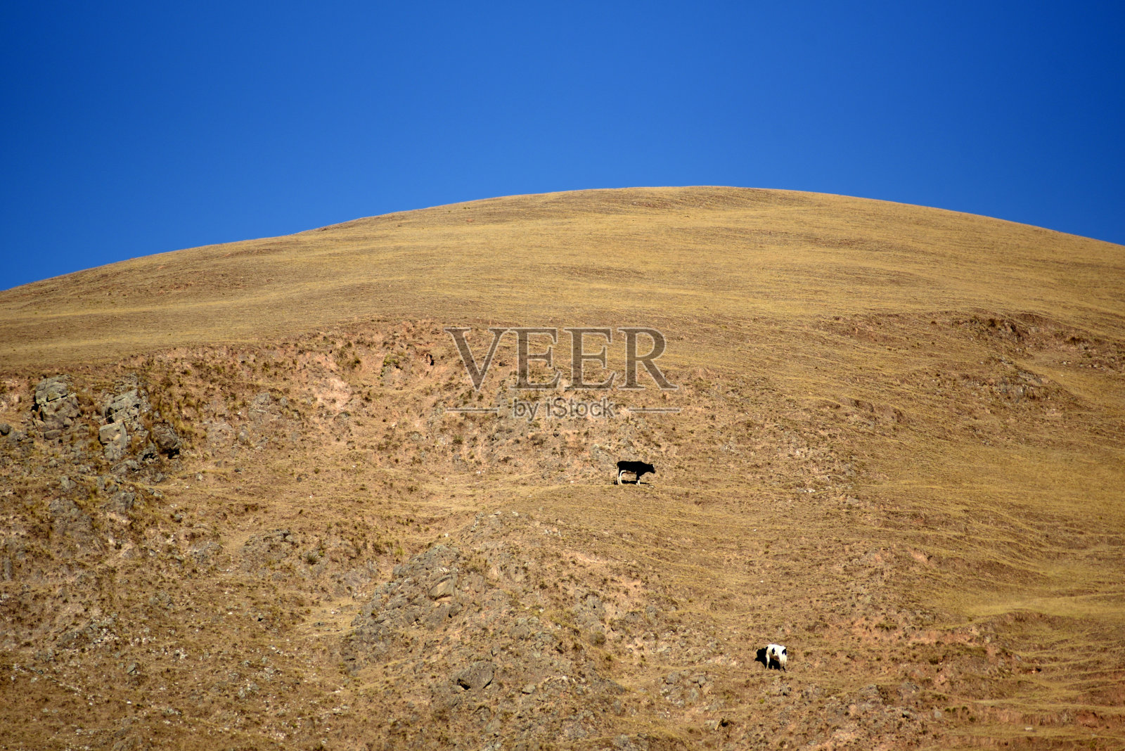 普拉德拉斯·塞卡斯照片摄影图片