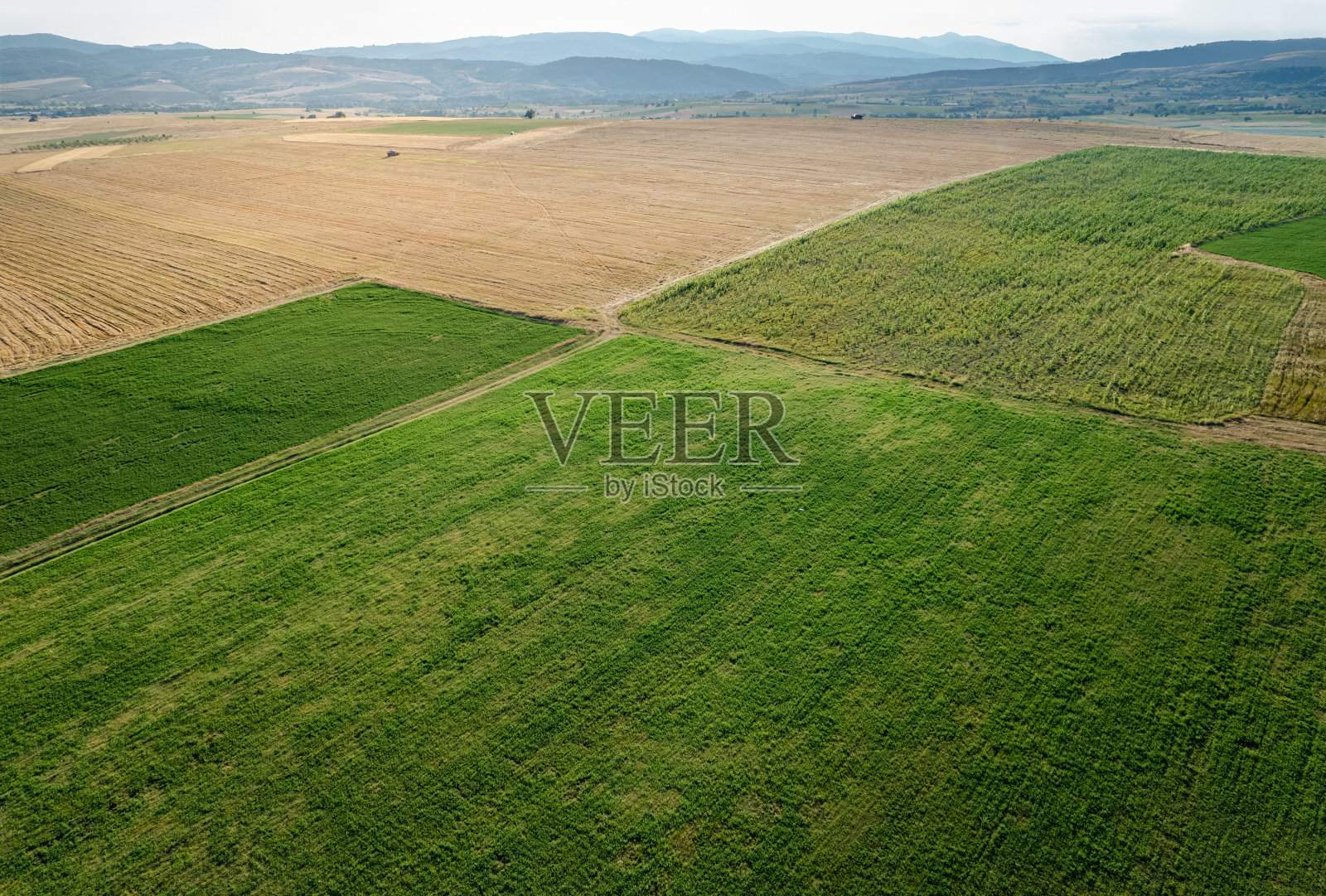 字段照片摄影图片