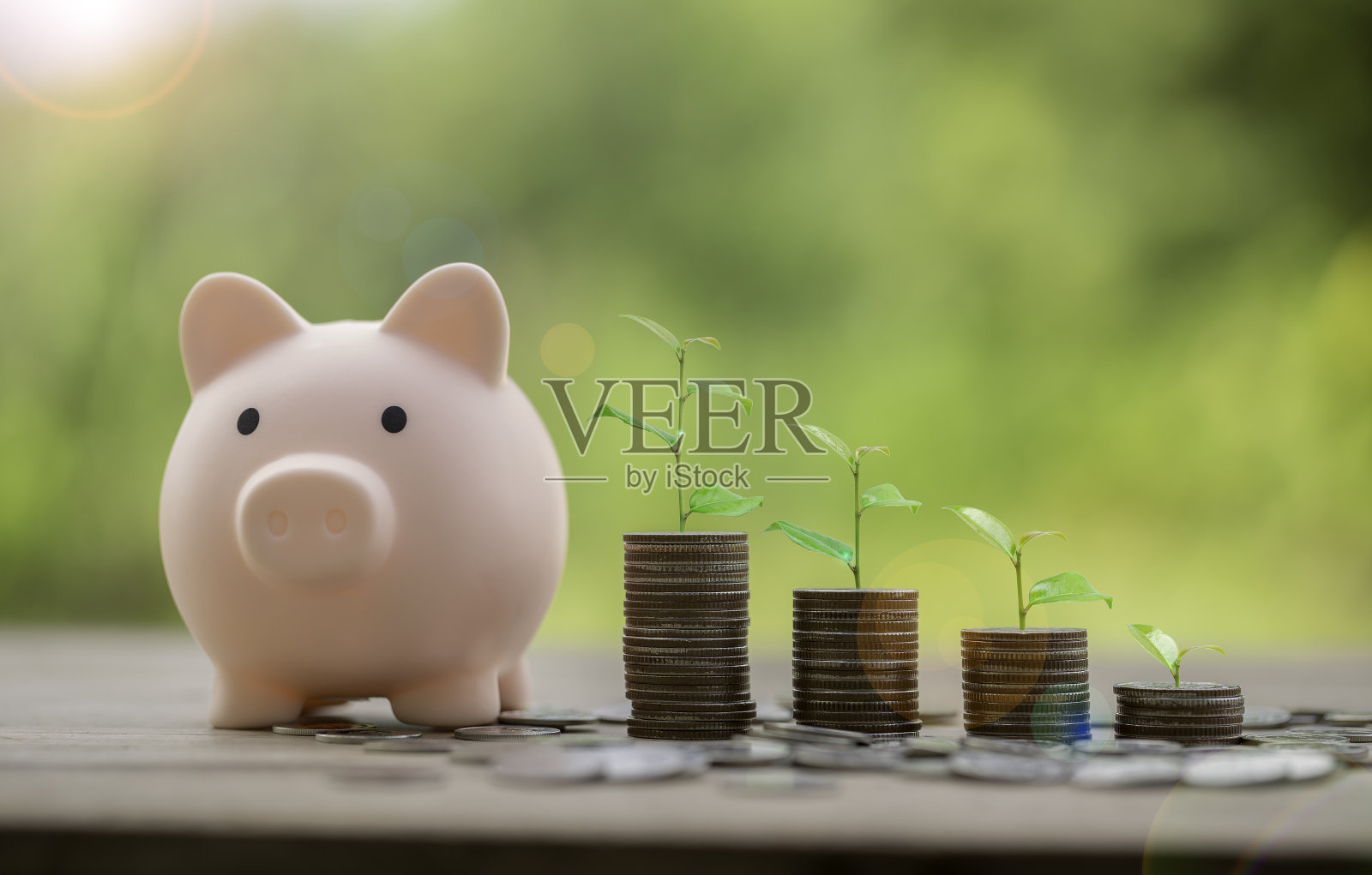 存钱罐储蓄概念的硬币堆叠增长图。企业融资而存钱投资，植物生长于币上。平衡储蓄和投资。储蓄退休利息的想法照片摄影图片