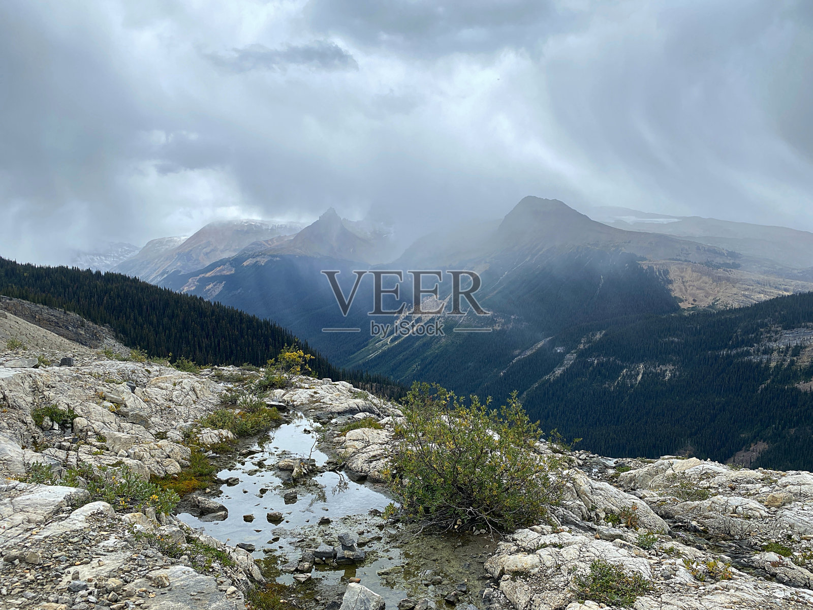 优鹤国家公园照片摄影图片