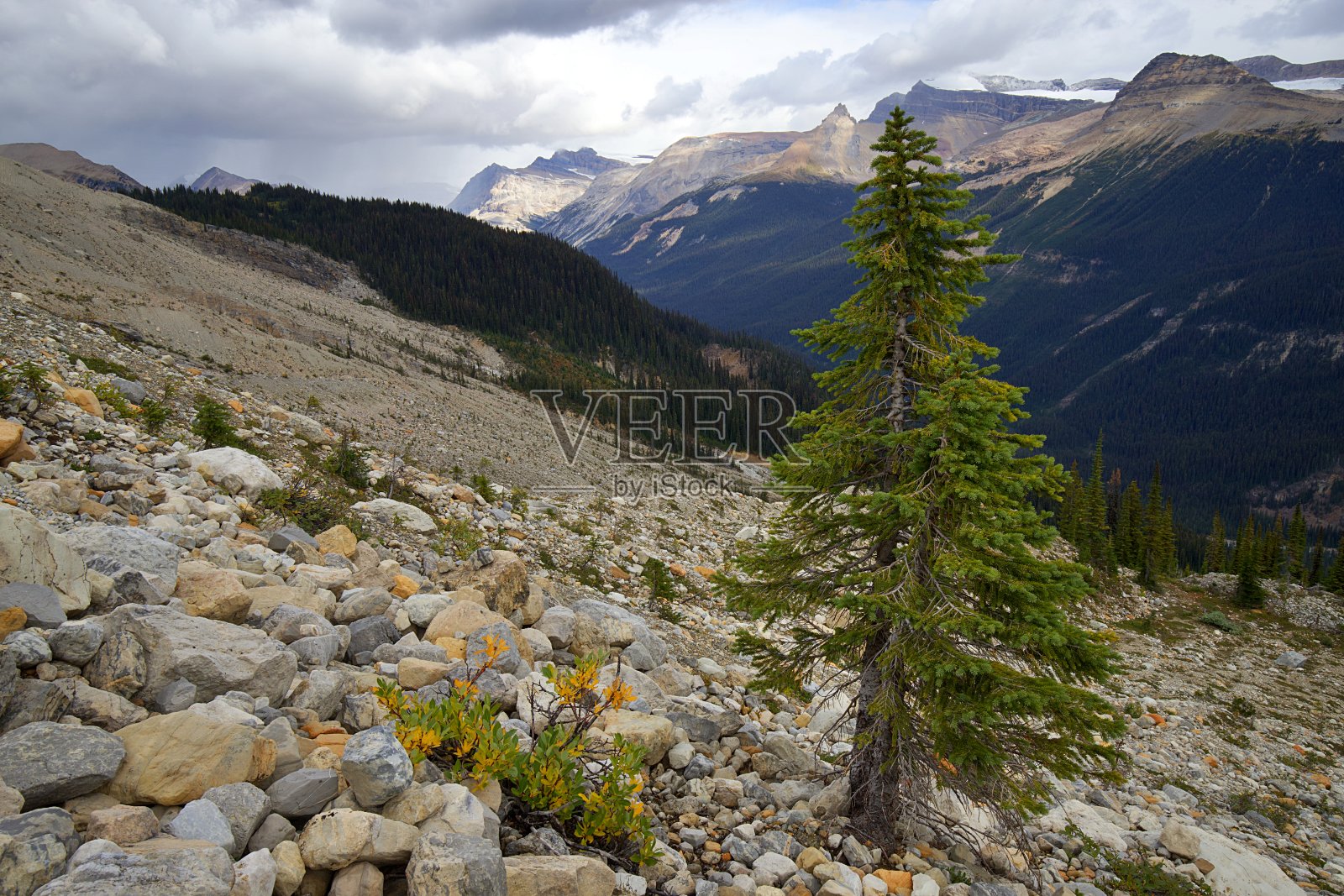 优鹤国家公园照片摄影图片