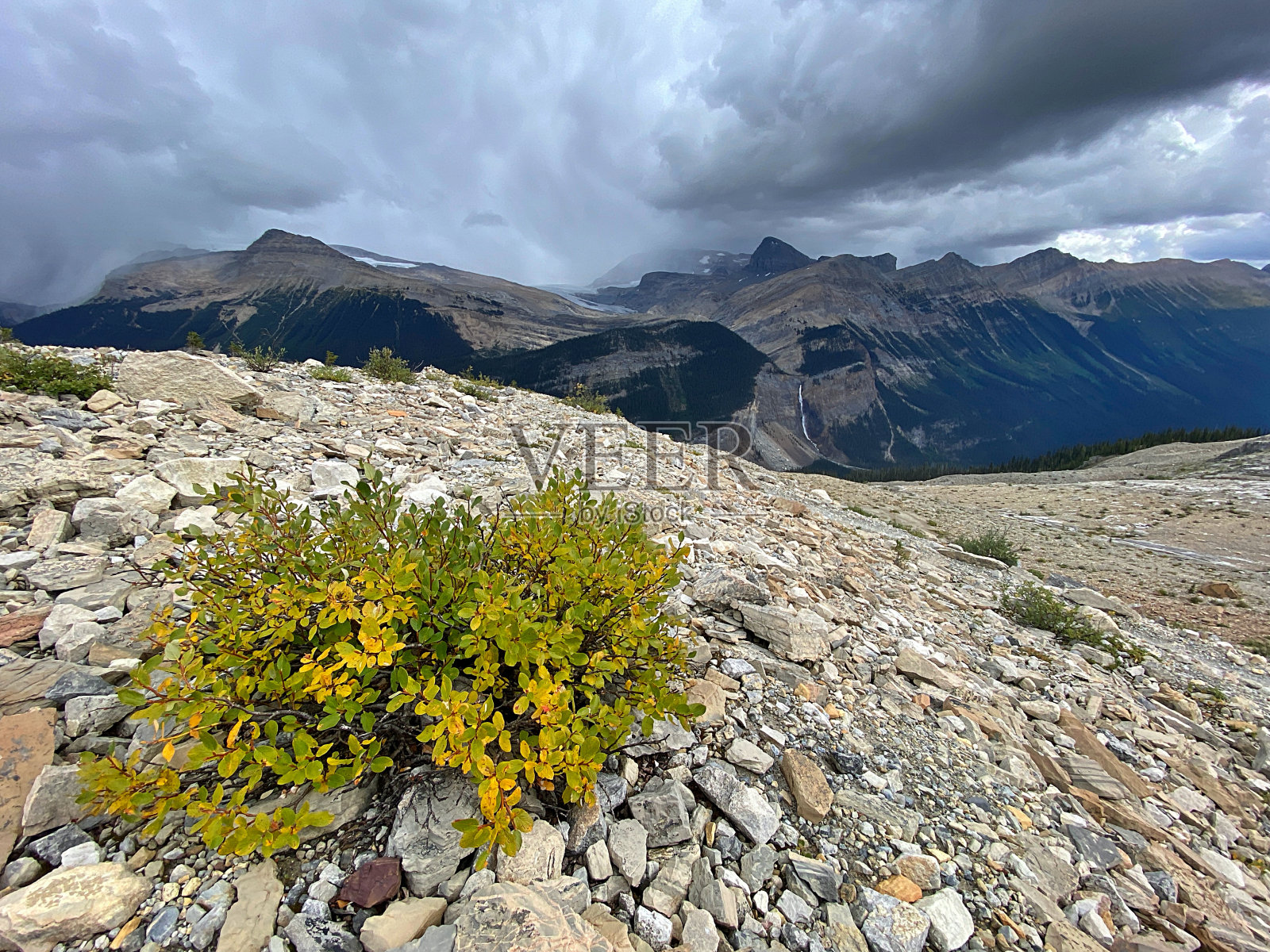优鹤国家公园照片摄影图片