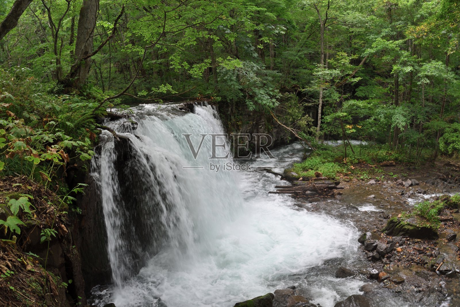 青森县油濑川的御泷瀑布照片摄影图片