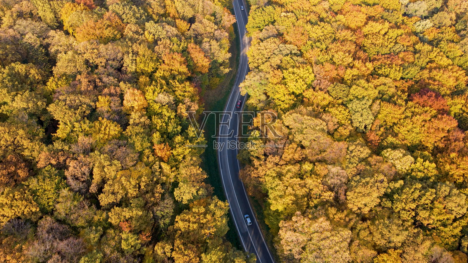 蜿蜒道路上的交通照片摄影图片