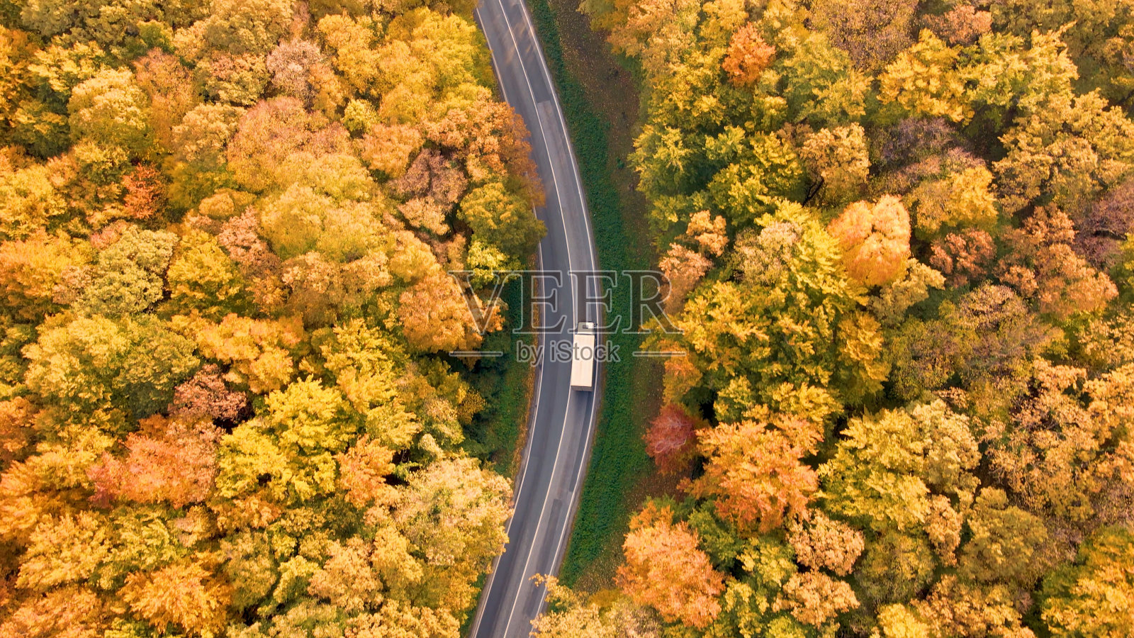 卡车驶过森林景观照片摄影图片