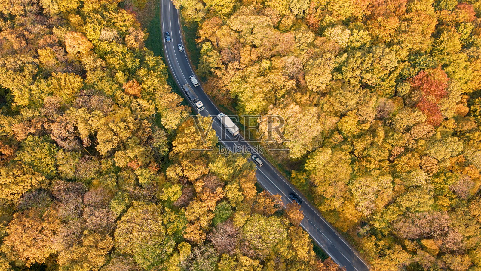 森林旁繁忙的道路照片摄影图片
