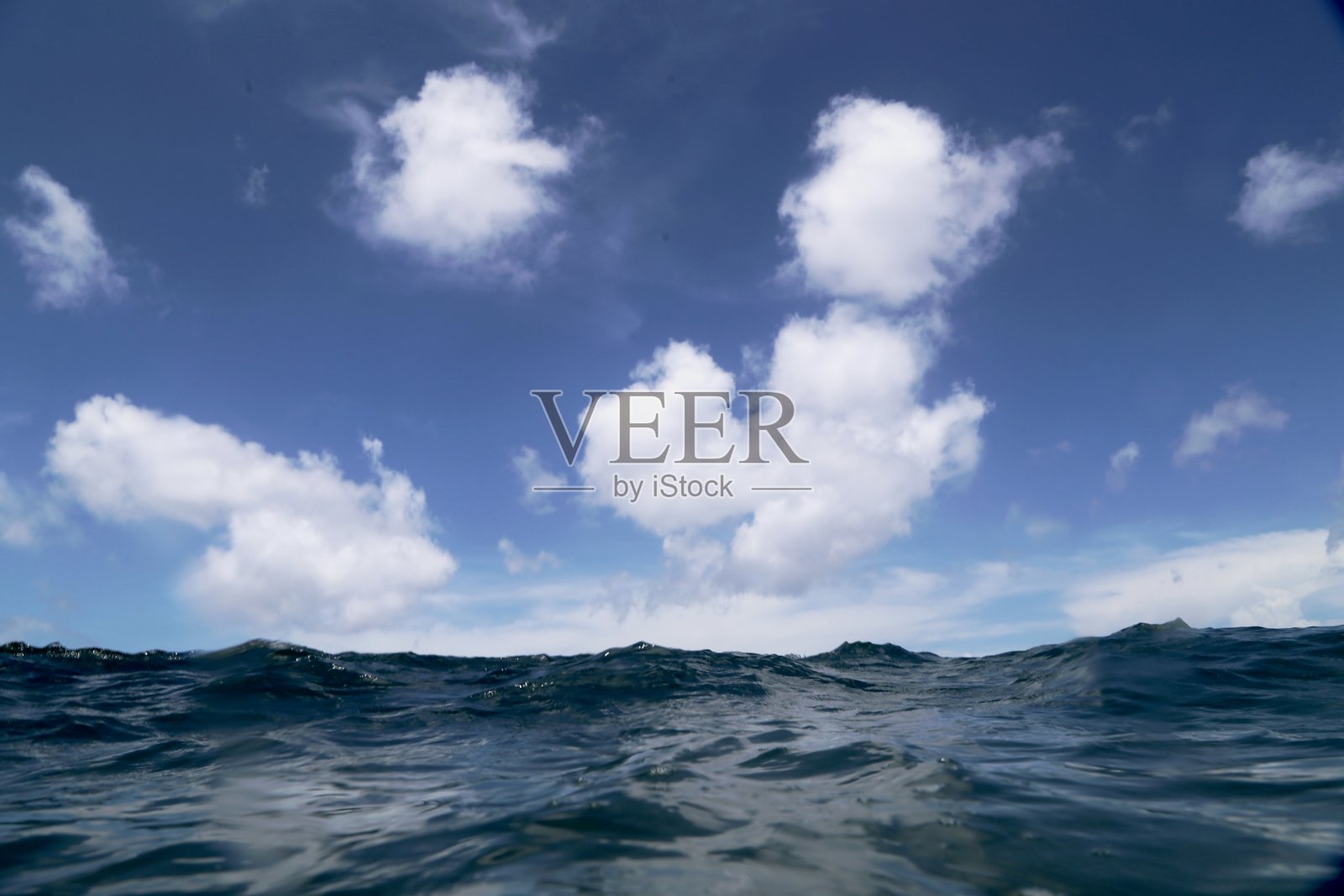 在海里游泳照片摄影图片