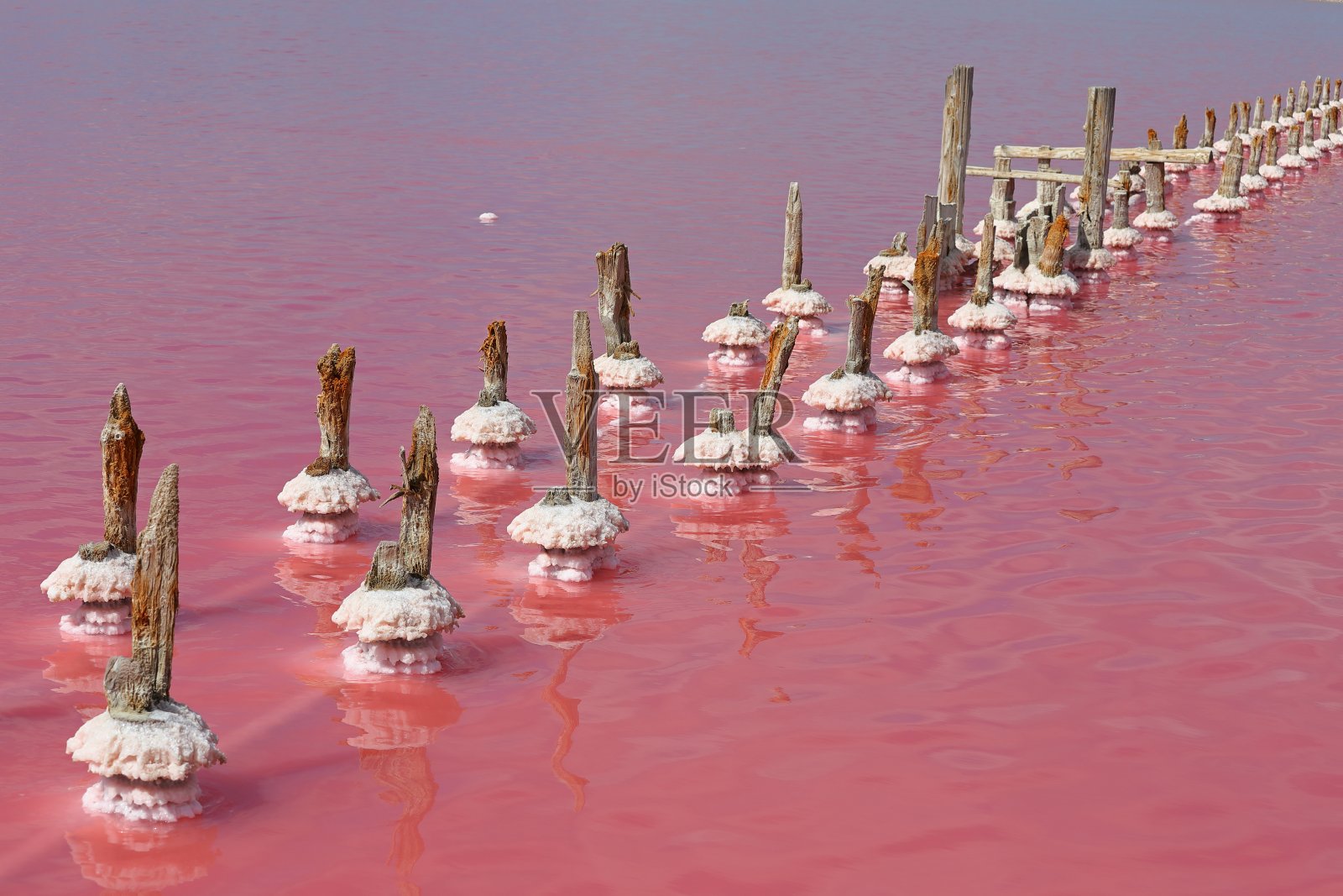 粉红色的盐湖照片摄影图片