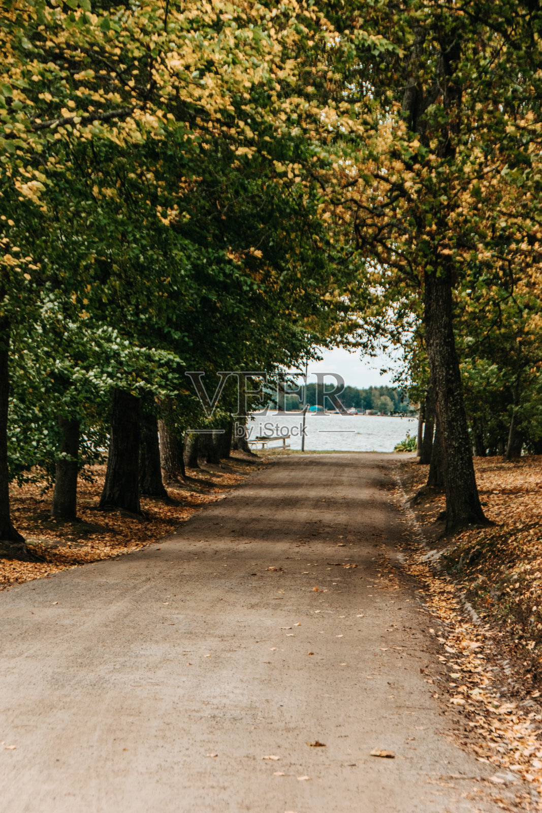 秋天在公园和岛屿照片摄影图片