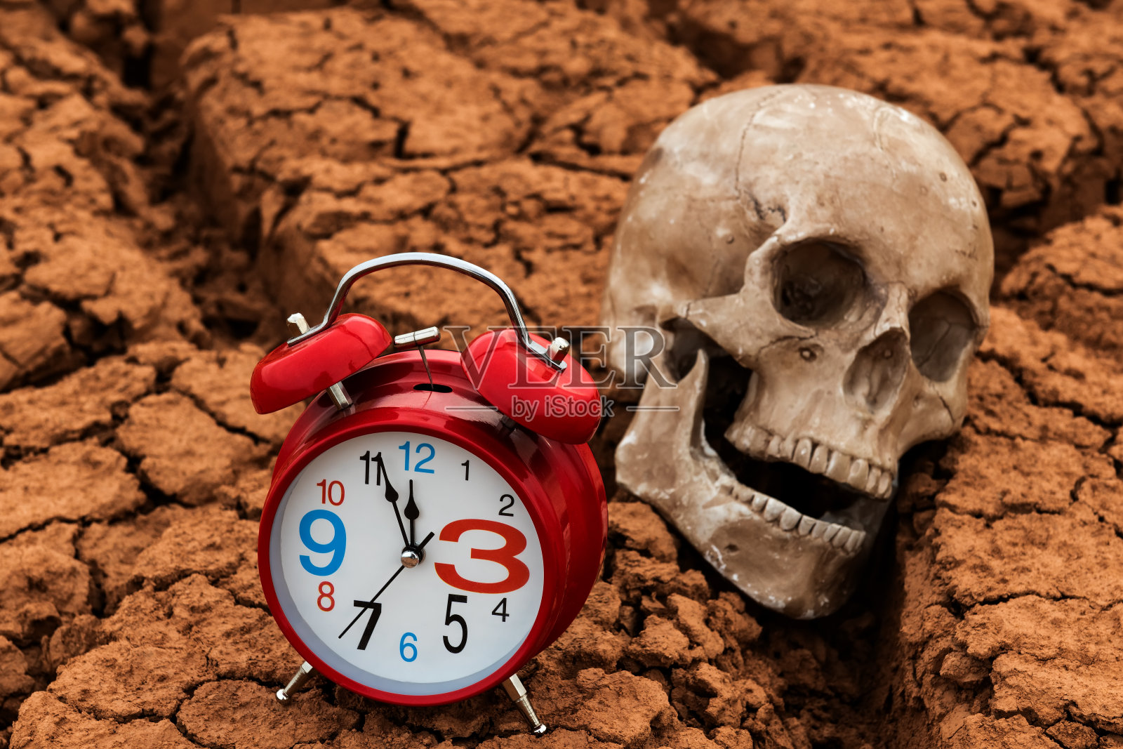 沙漠中干裂的粘土背景上的人类头骨照片摄影图片