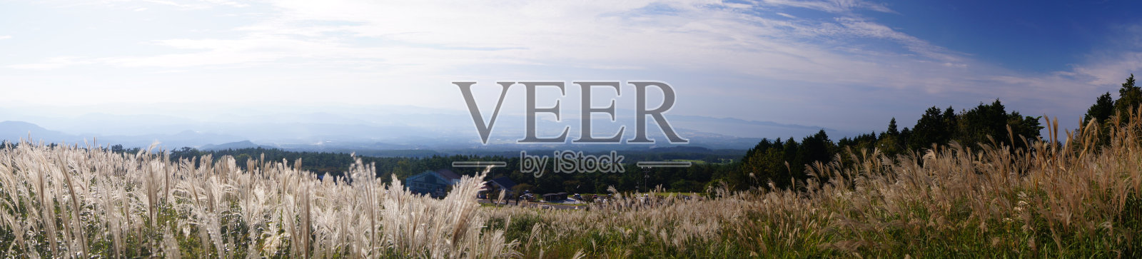 在各级Daisen照片摄影图片